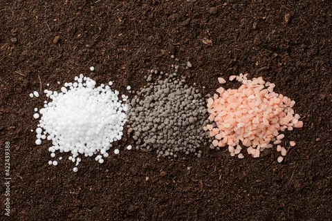 Водорастворимые удобрения