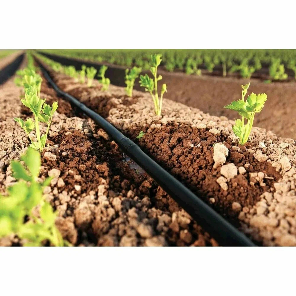 Капля воды на ленте