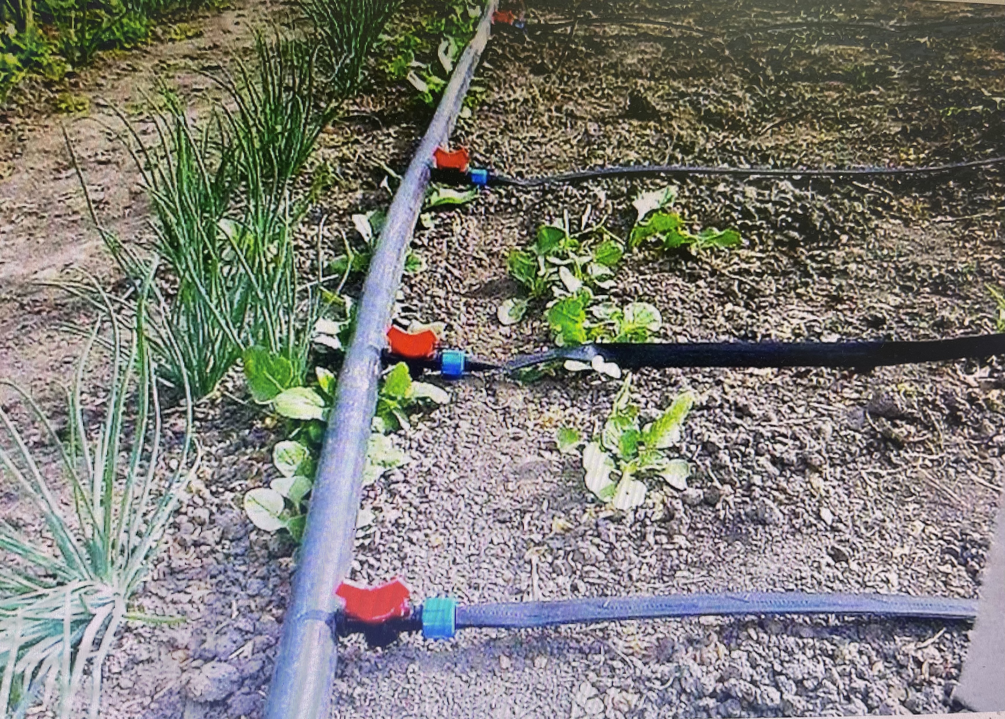 Краны и фитинги для полива