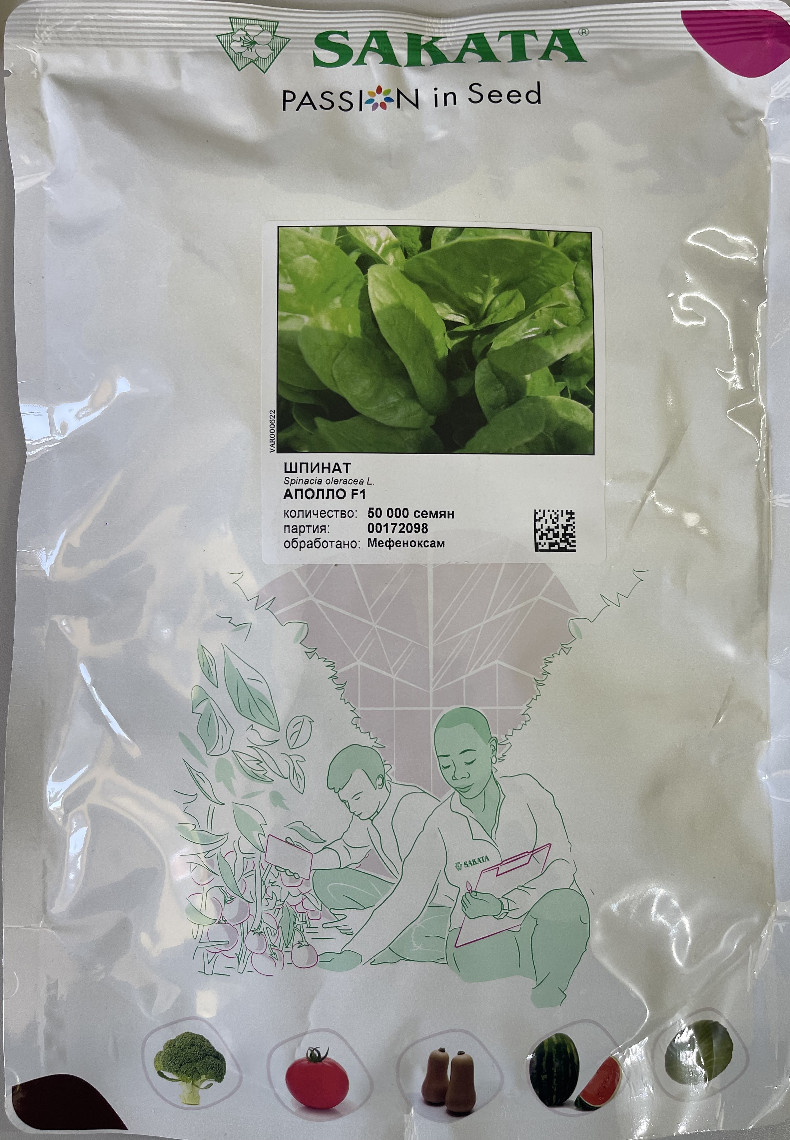 Семена зелени